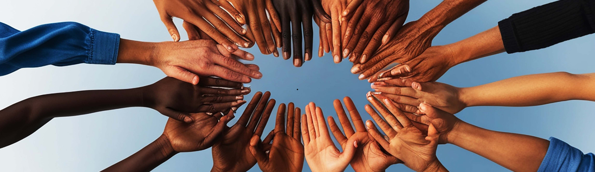 Lancement officiel des "Veilleurs du Web"